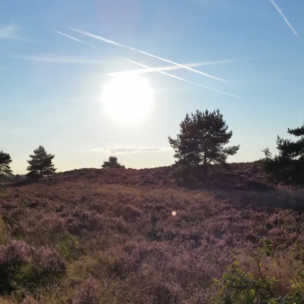 de-bunders-vierhouten-pe721