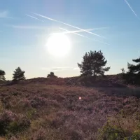 de-bunders-vierhouten-pe721