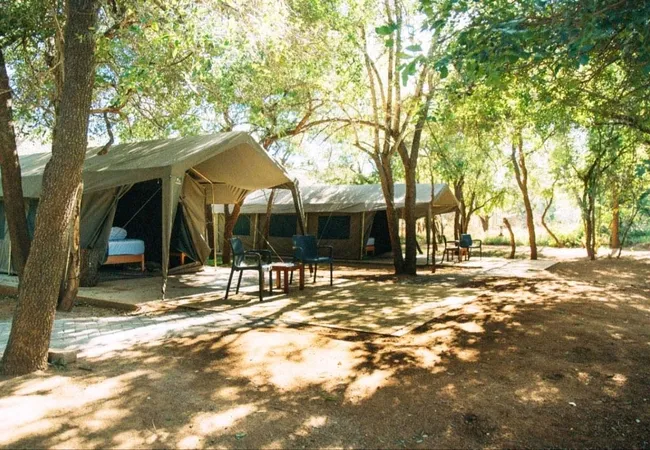 mazunga-tented-camp-gravelotte-yb6xi