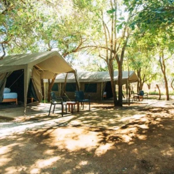 Mazunga Tented Camp