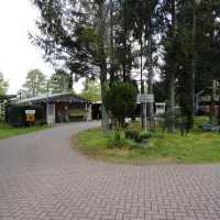 de-rollekoot-vaassen-qb0ro