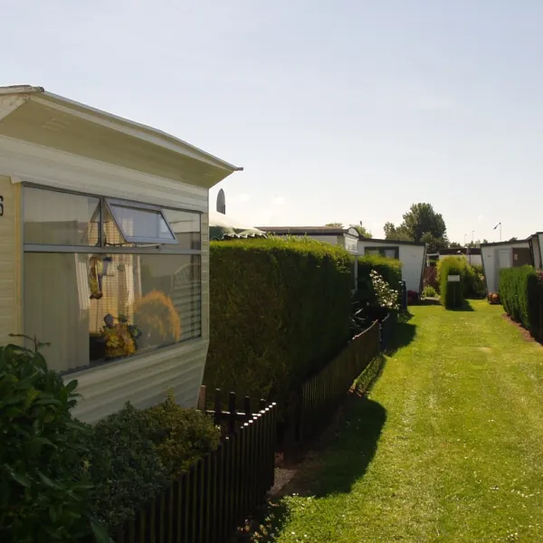de-ploeg-groede-puqtw