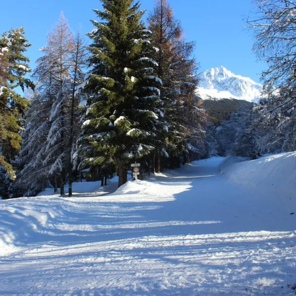 huttopia-bozel-en-vanoise-bozel-hgrbd