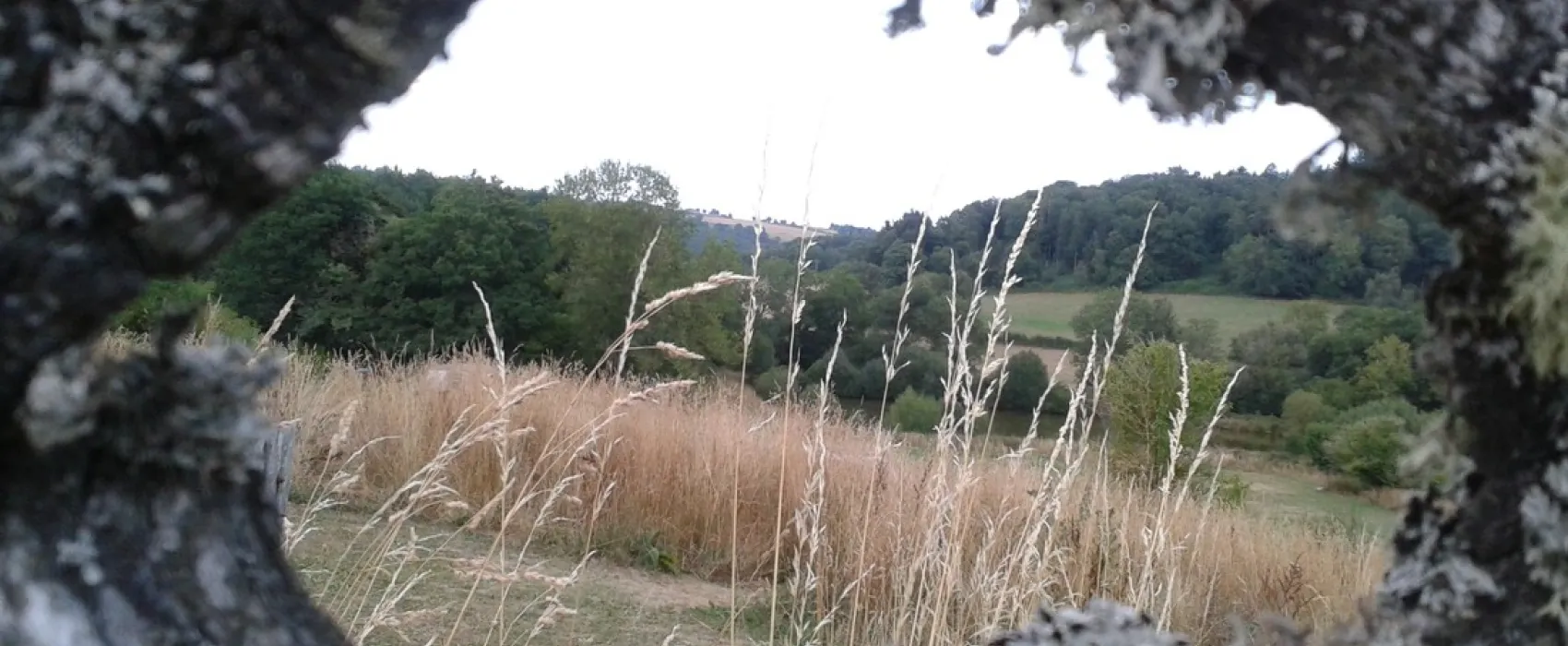 3Etangs
