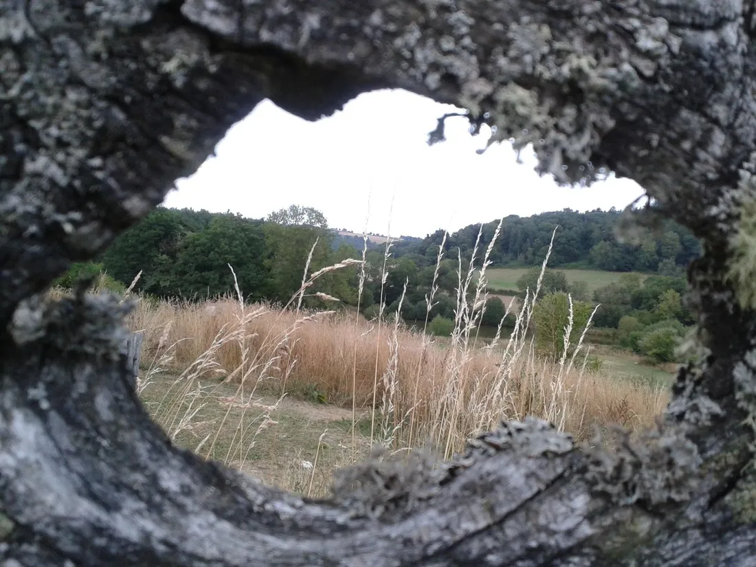 3etangs-st-gervais-d-auvergne-puy-de-dome-hukxm