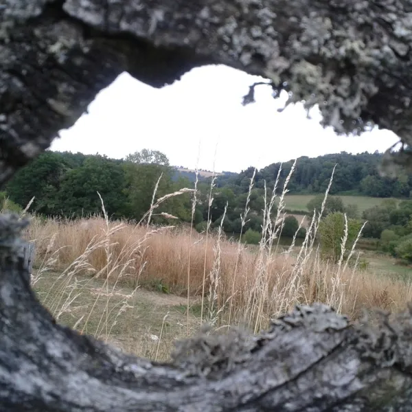 3etangs-st-gervais-d-auvergne-puy-de-dome-hukxm