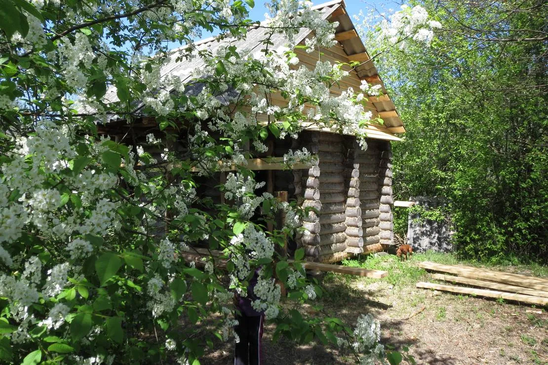 camping-lovat-veryassko-9qo6s