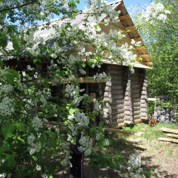camping-lovat-veryassko-9qo6s
