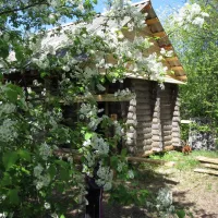 camping-lovat-veryassko-9qo6s