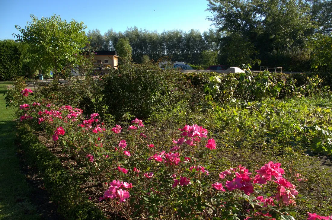 t-heike-lottum-ukswf