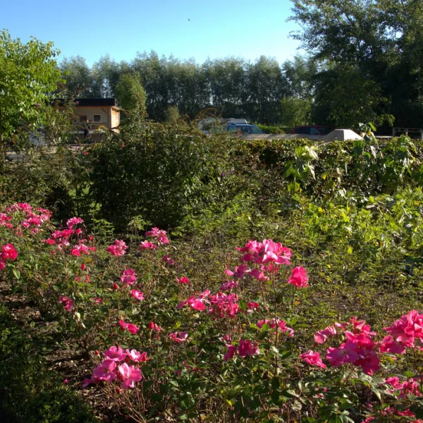 t-heike-lottum-ukswf