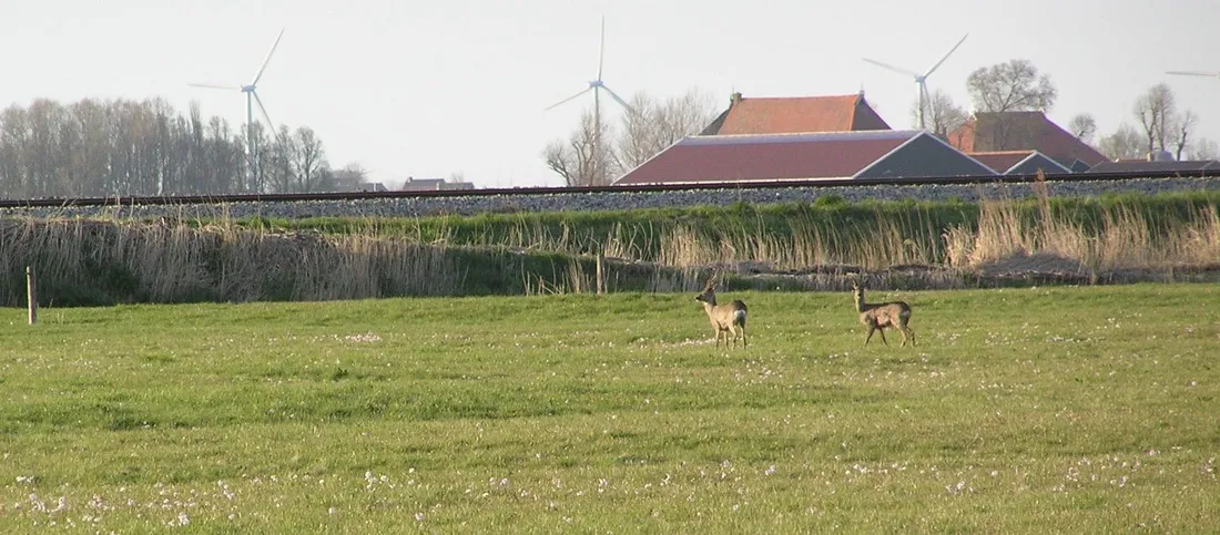 minicamping-de-klompen-workum-amad2