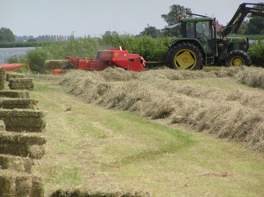 minicamping-de-klompen-workum-saorg