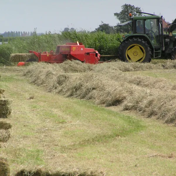 minicamping-de-klompen-workum-saorg
