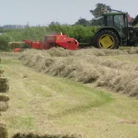minicamping-de-klompen-workum-saorg