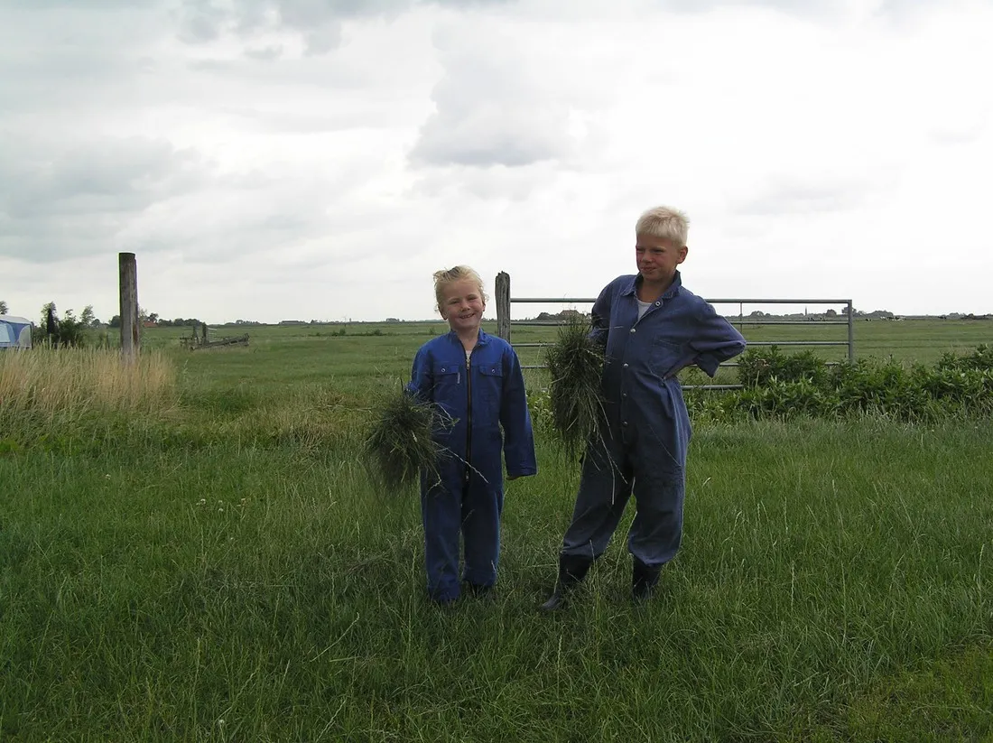 minicamping-de-klompen-workum-scl5d