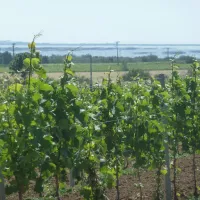 aire-naturelle-villemarin-marseillan-plage-yajfm