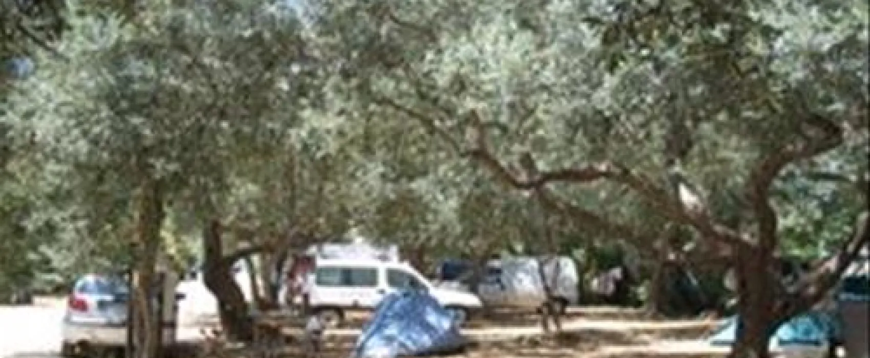 Campeggio Degli Ulivi