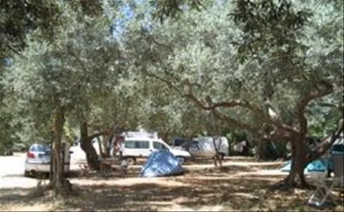 campeggio-degli-ulivi-sferracavallo-o5s9w