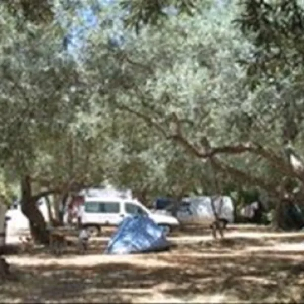 Campeggio Degli Ulivi