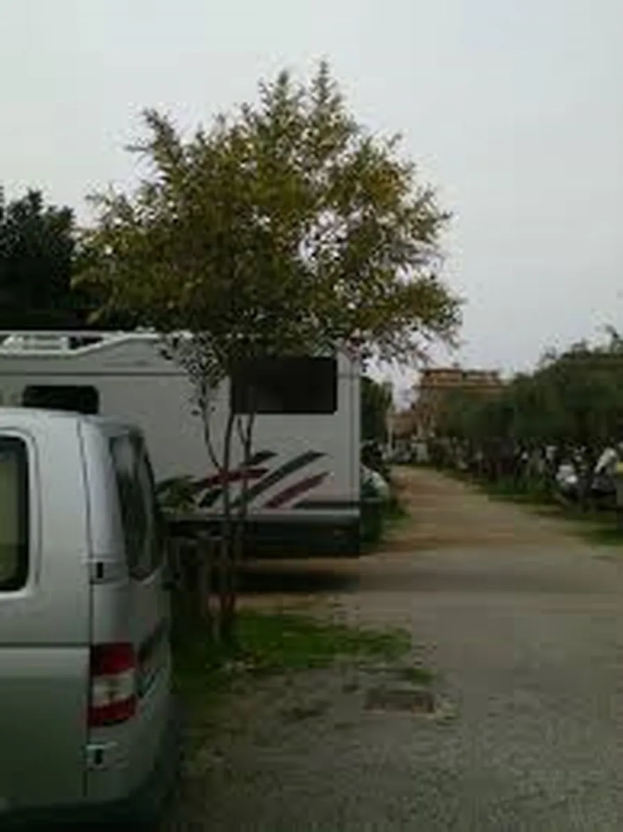 campeggio-degli-ulivi-sferracavallo-r4yii
