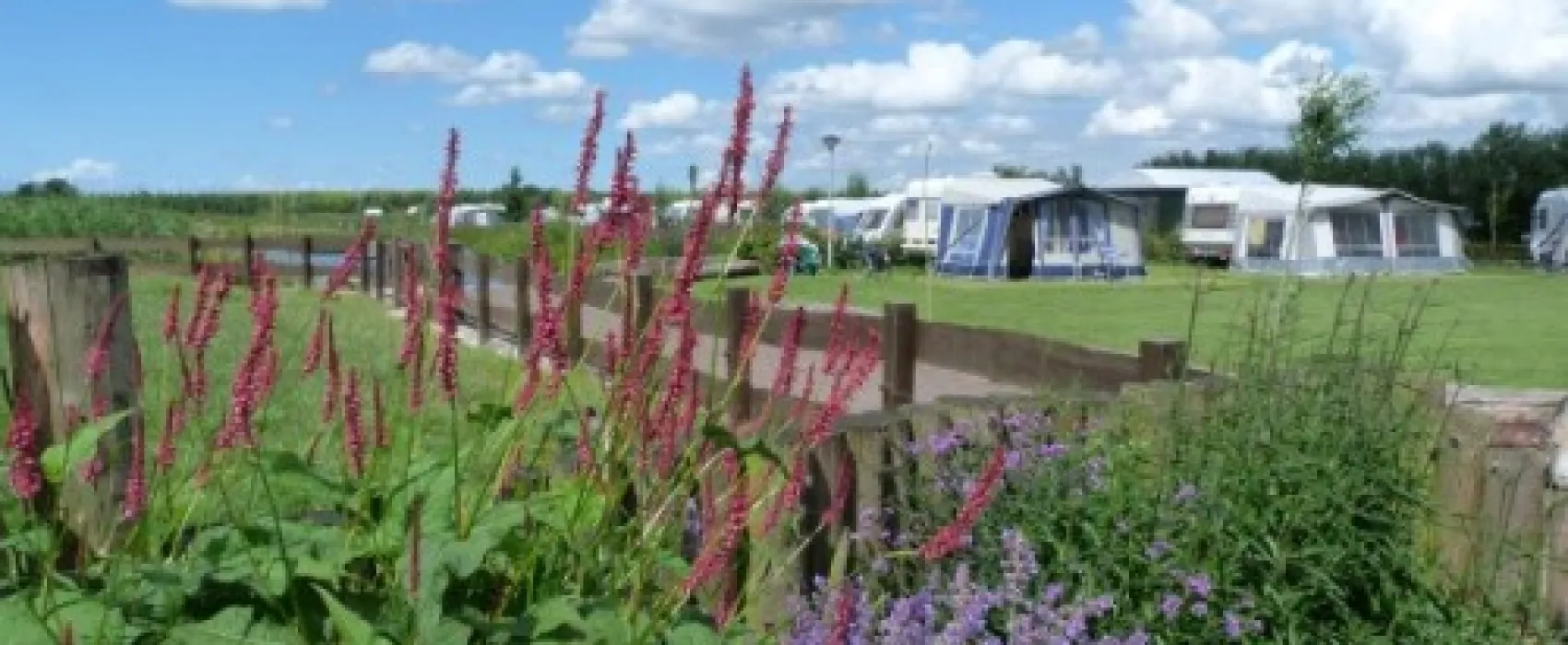 Camping Polderflora