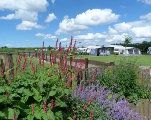 camping-polderflora-alphen-aan-den-rijn-ifbs7