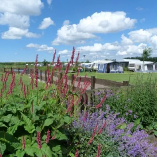 Camping Polderflora