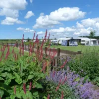 camping-polderflora-alphen-aan-den-rijn-ifbs7