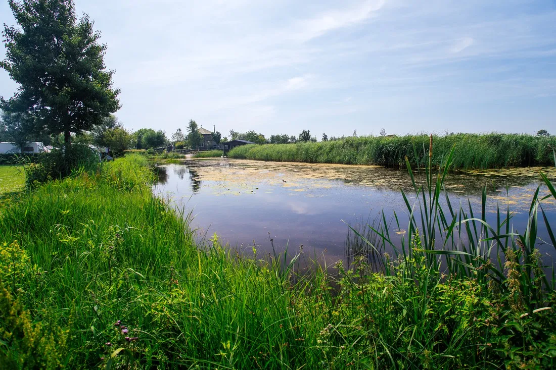 camping-polderflora-alphen-aan-den-rijn-qcydb