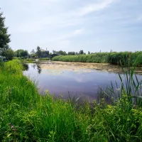 camping-polderflora-alphen-aan-den-rijn-qcydb