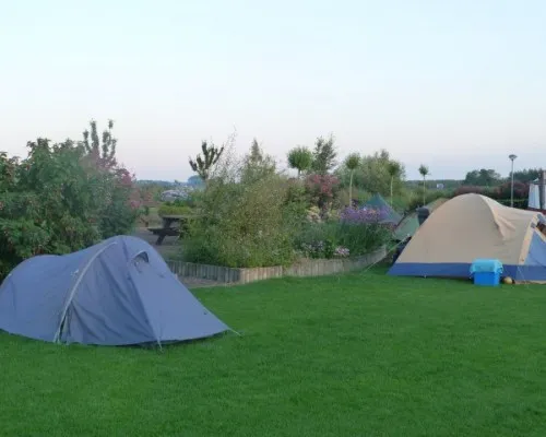camping-polderflora-alphen-aan-den-rijn-rypir