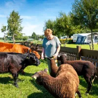 camping-polderflora-alphen-aan-den-rijn-voabr