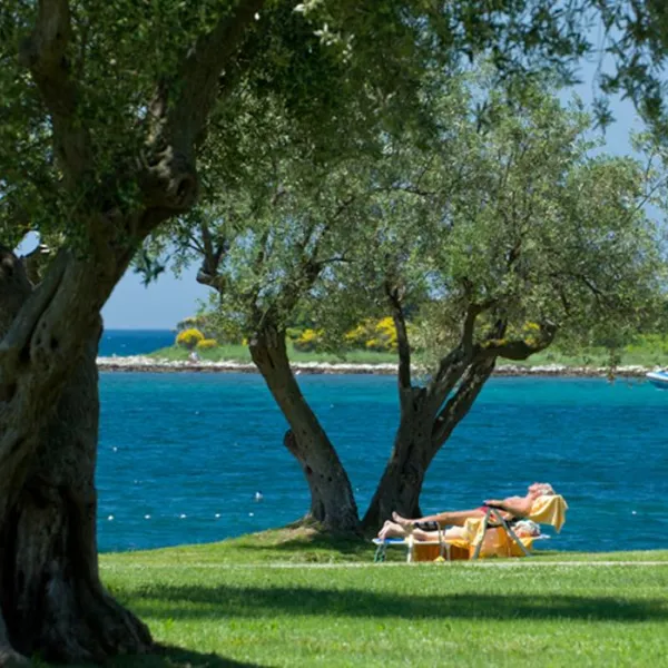 camping-ulika-rovinj-k2mmu