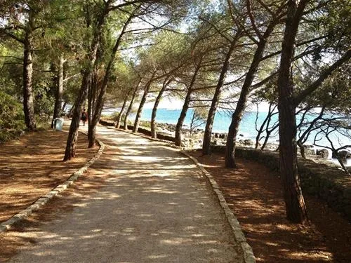 camping-ulika-rovinj-od9gy