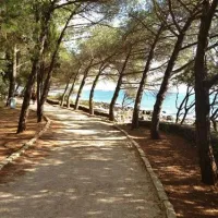 camping-ulika-rovinj-od9gy