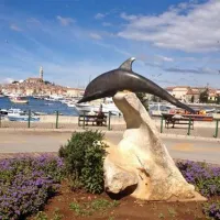 camping-ulika-rovinj-wtbnu