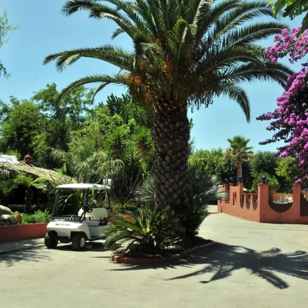 camping-les-galets-argeles-sur-mer-k8knv