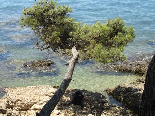 camping-medulin-medulin-4dkig