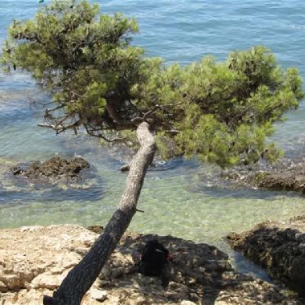 camping-medulin-medulin-4dkig