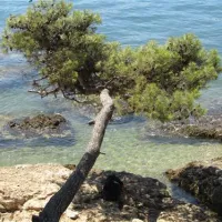 camping-medulin-medulin-4dkig