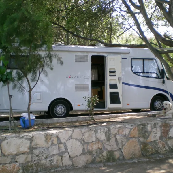 campsite-zante-tragakizakynthos-mvtsj