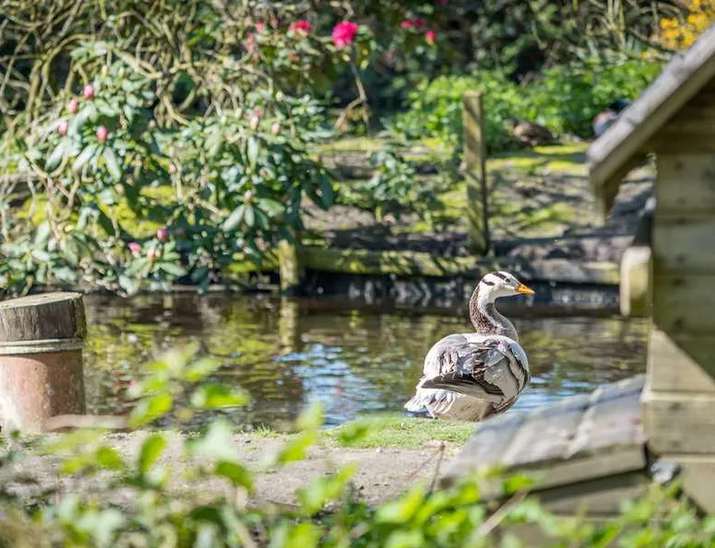sandyholme-holiday-park-dorchester-3ojjl