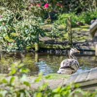 sandyholme-holiday-park-dorchester-3ojjl