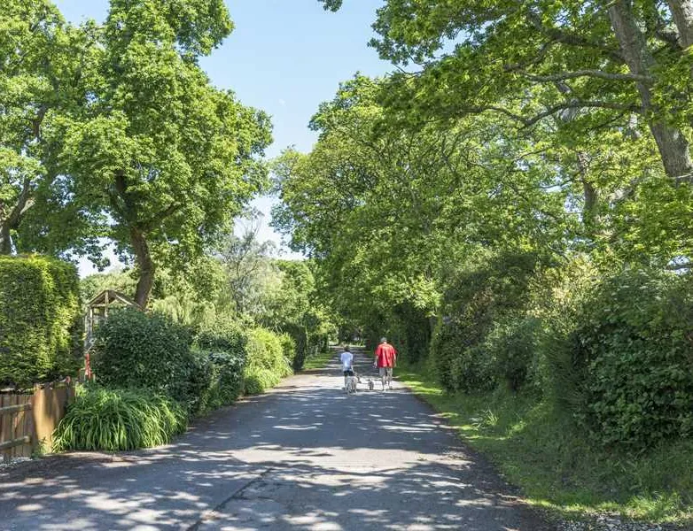 sandyholme-holiday-park-dorchester-lxvie
