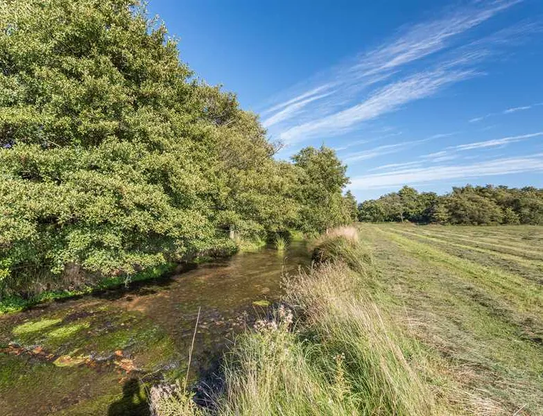 sandyholme-holiday-park-dorchester-qsgfu