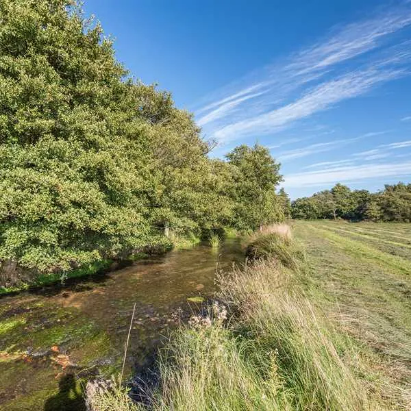 sandyholme-holiday-park-dorchester-qsgfu