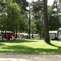 camping-de-paal-bergeyk-2g8ez
