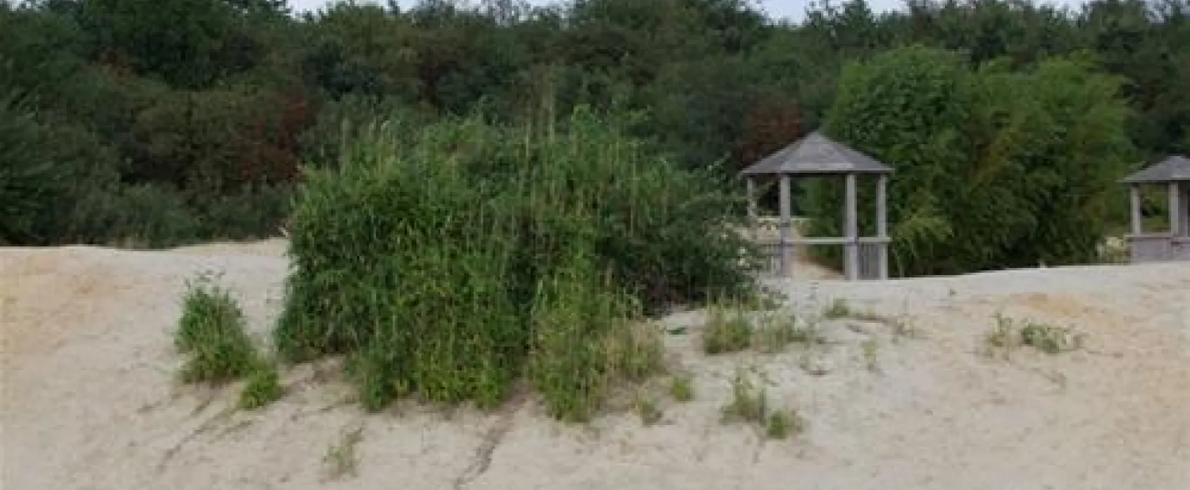 Camping De Paal