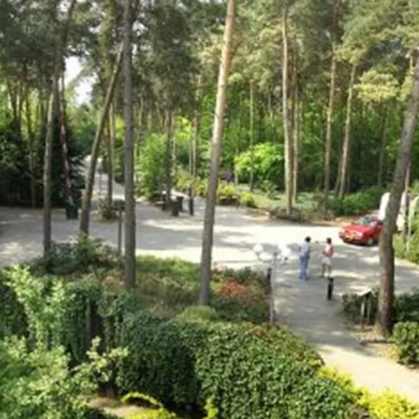 camping-de-paal-bergeyk-u1ycu